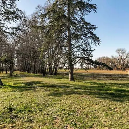 Villa Château Féger 5